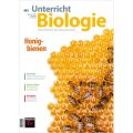 Honigbienen Unterricht Biologie Nr. 453, Friedrich Verlag GmbH