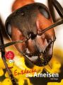 ID 562 Entdecke die Ameisen Autor: Klinger, Ralf Verlag: Natur und Tier - Verlag ISBN: 978-3-86659-420-3