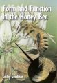 ID 631 Form and Function in the Honey Bee Autor: Goodman, Lesley Verlag: IBRA, London ISBN: 9780860982432