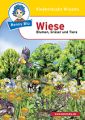 Wiese Blumen Gräser Tiere: Benny Blue