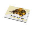 Anatomie der Honigbiene  Fotografien von Rüdi Ritter  ISBN: 9783952386699  Preis 32,00 EUR