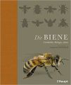 Die Biene Geschichte - Biologie - Arten Noa, Wilsow-Rich