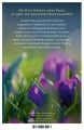 ID 541 Bienenweide und Hummelparadies Autor: Goulson, Dave Verlag: Hanser ISBN: 9783446269293