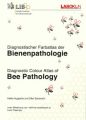 Diagnostischer Farbatlas der Bienenpathologie