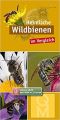 ID 532 Heimische Wildbienen: im Vergleich Autor: Verlag: Quelle und Meyer ISBN: 978-3494018287 Preis: 3,95 € 