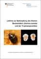 Leitlinie zur Bekämpfung des Kleinen Beutenkäfers (Aethina tumida) und der Tropilaelapsmilben