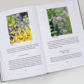 ID 541 Bienenweide und Hummelparadies Autor: Goulson, Dave Verlag: Hanser ISBN: 9783446269293