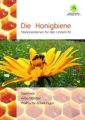 Die Honigbiene Stationenlernen für den Unterricht