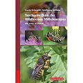 Taschenlexikon der Wildbienen Mitteleuropas Scheuchl, Erwin